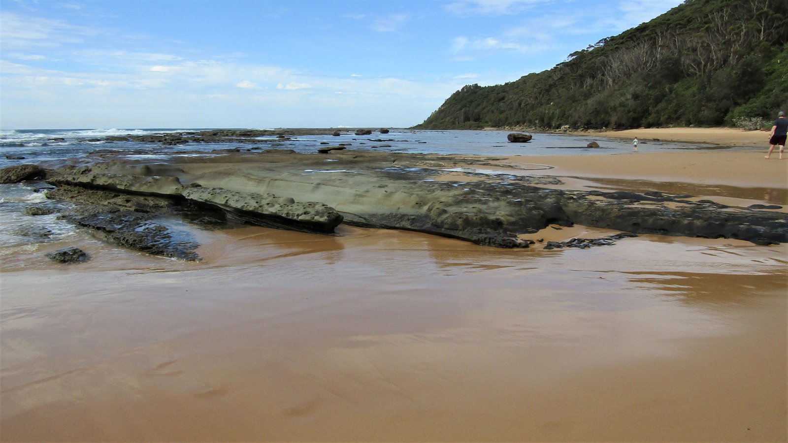 Bateau Bay Beach on the NSW Central Coast, with golden sand and turquoise water